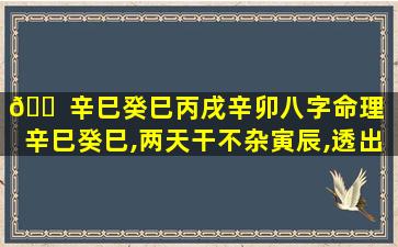 🐠 辛巳癸巳丙戌辛卯八字命理「辛巳癸巳,两天干不杂寅辰,透出丙火,命主都极其显贵」